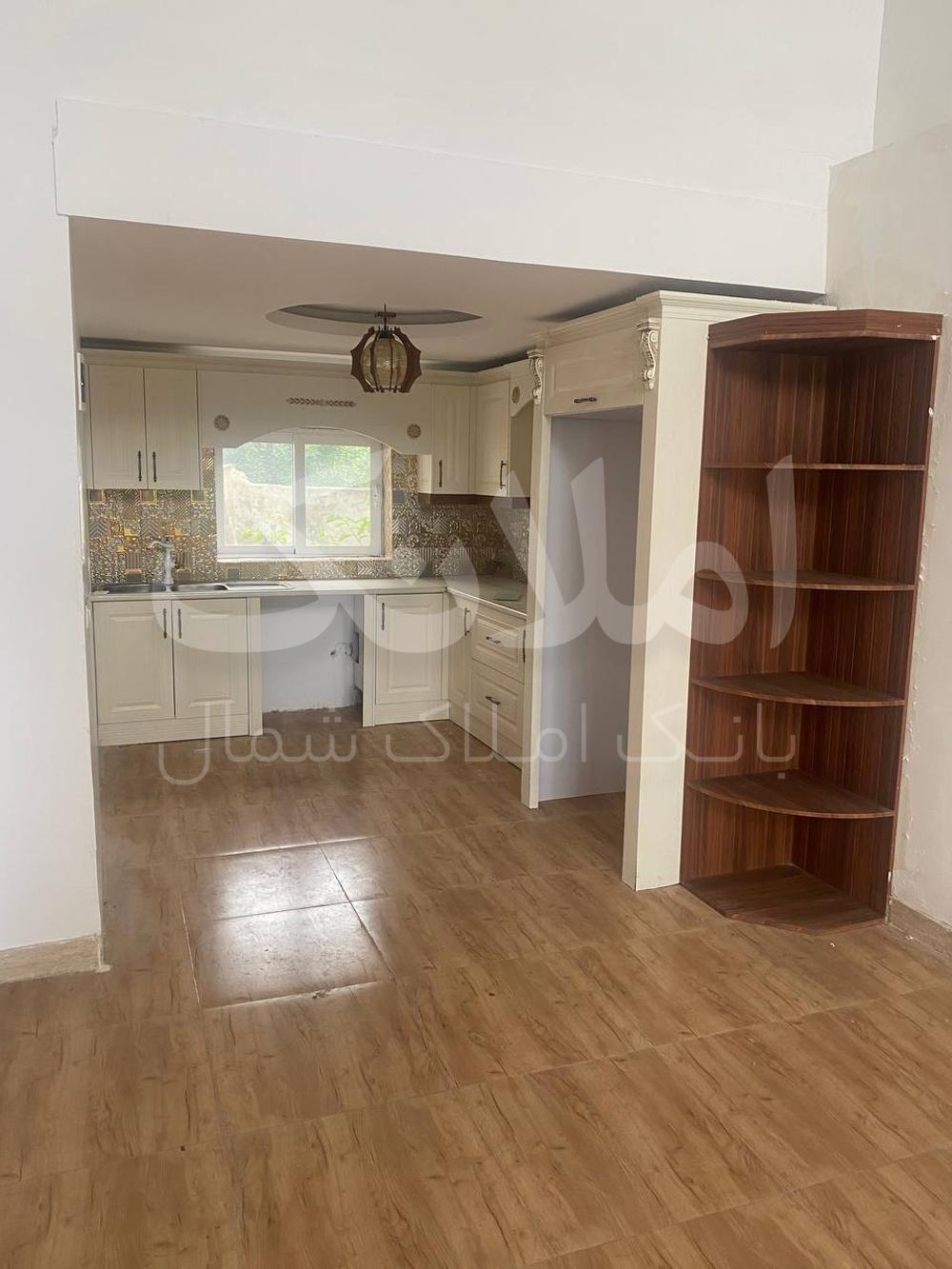 دوبلکس استخر دار نما رومی